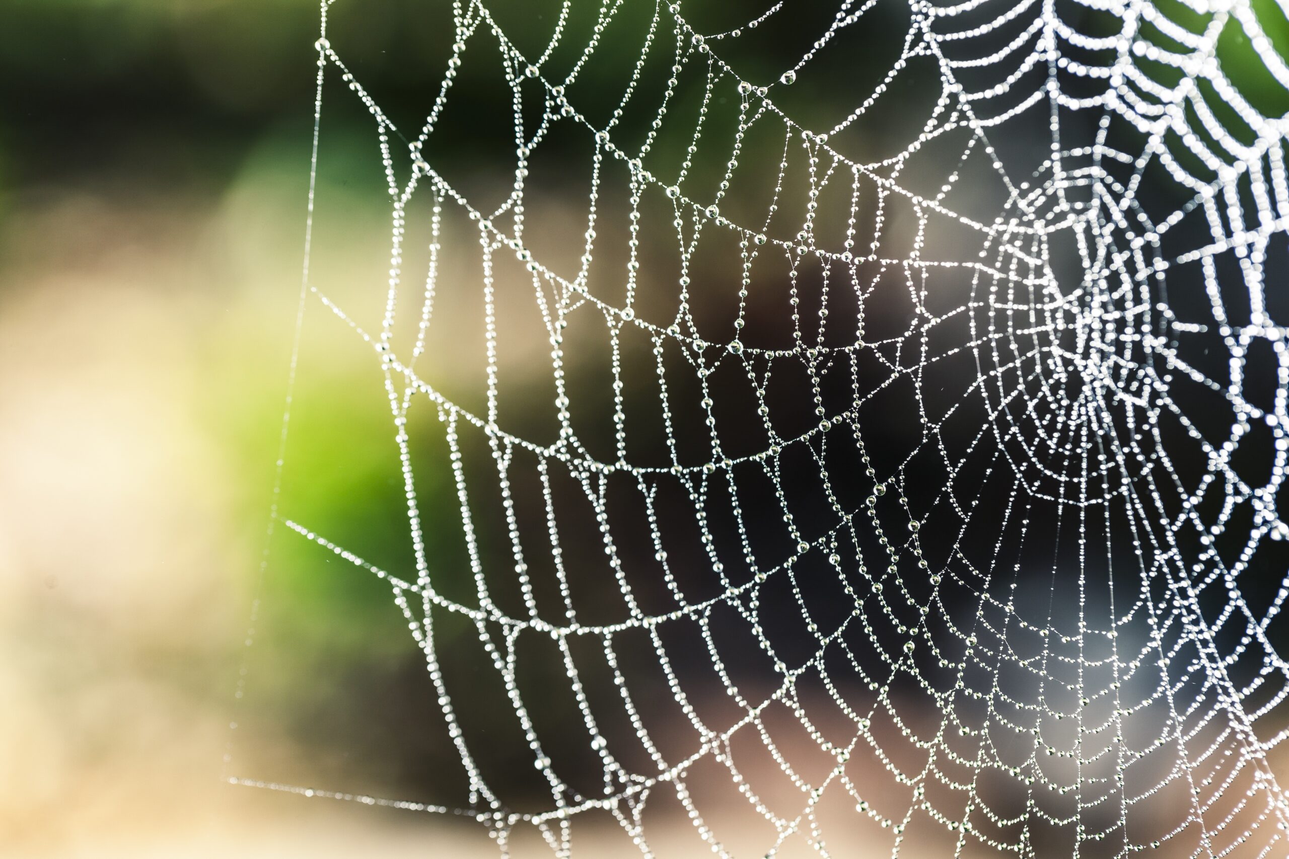 pexels pixabay 276271 scaled