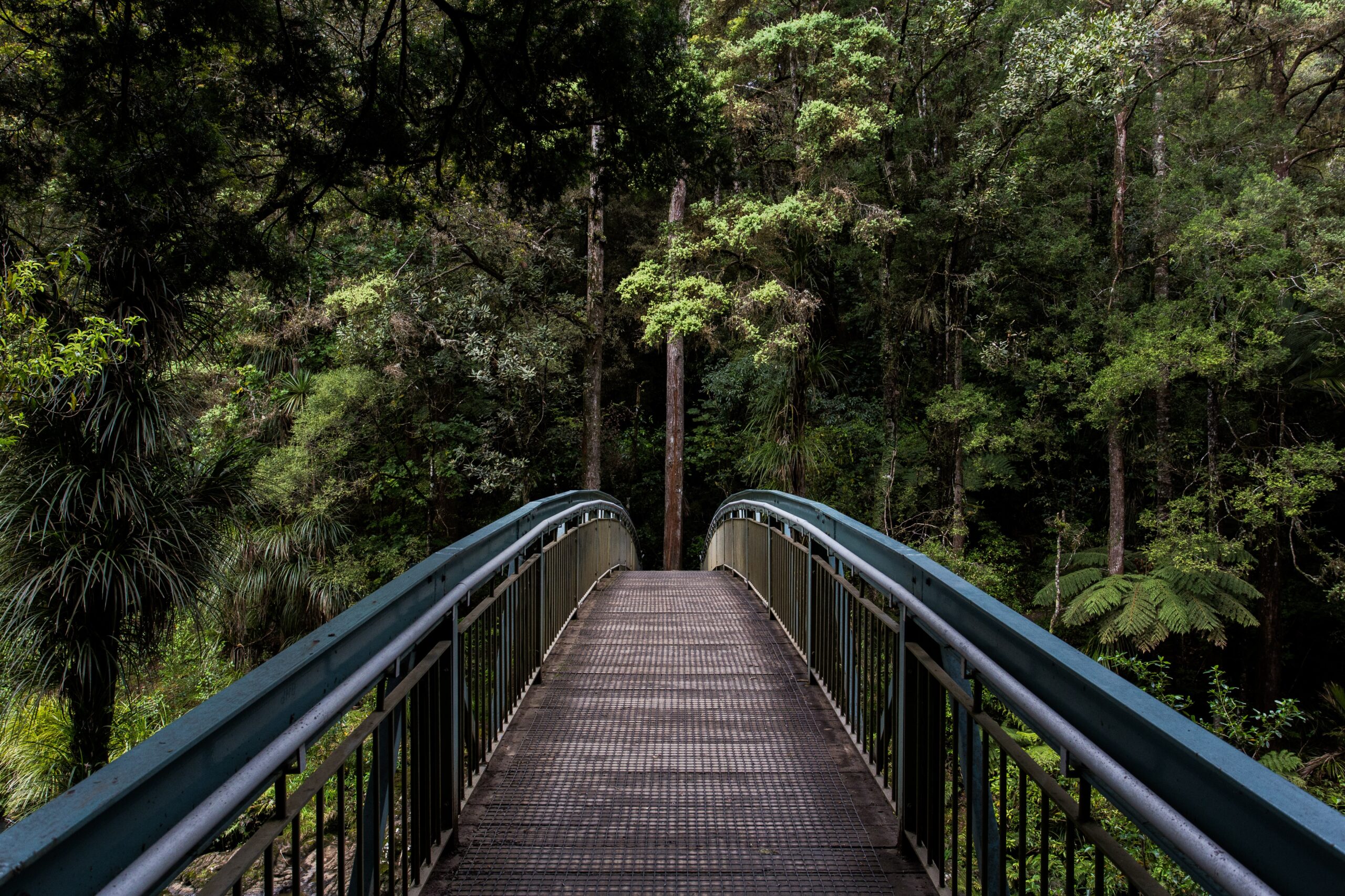 tim swaan eOpewngf68w unsplash scaled