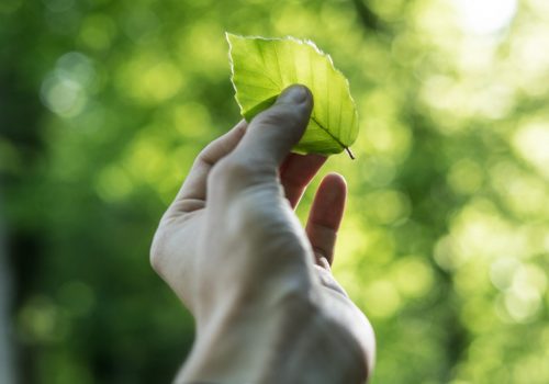 tobias-weinhold-hXPomXrpUP0-unsplash